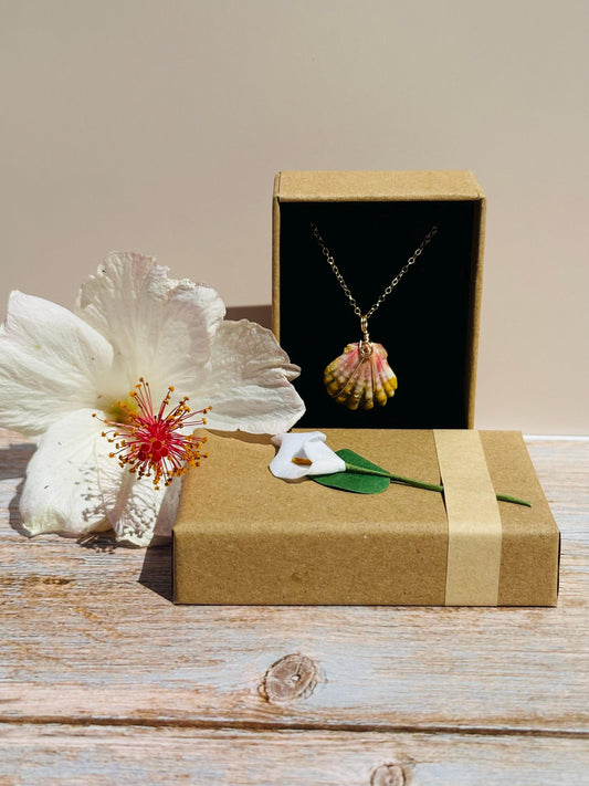 Rare Sunrise Shell Necklace – 14k Gold Filled Wire Wrapped – Hawaiian Shell Necklace