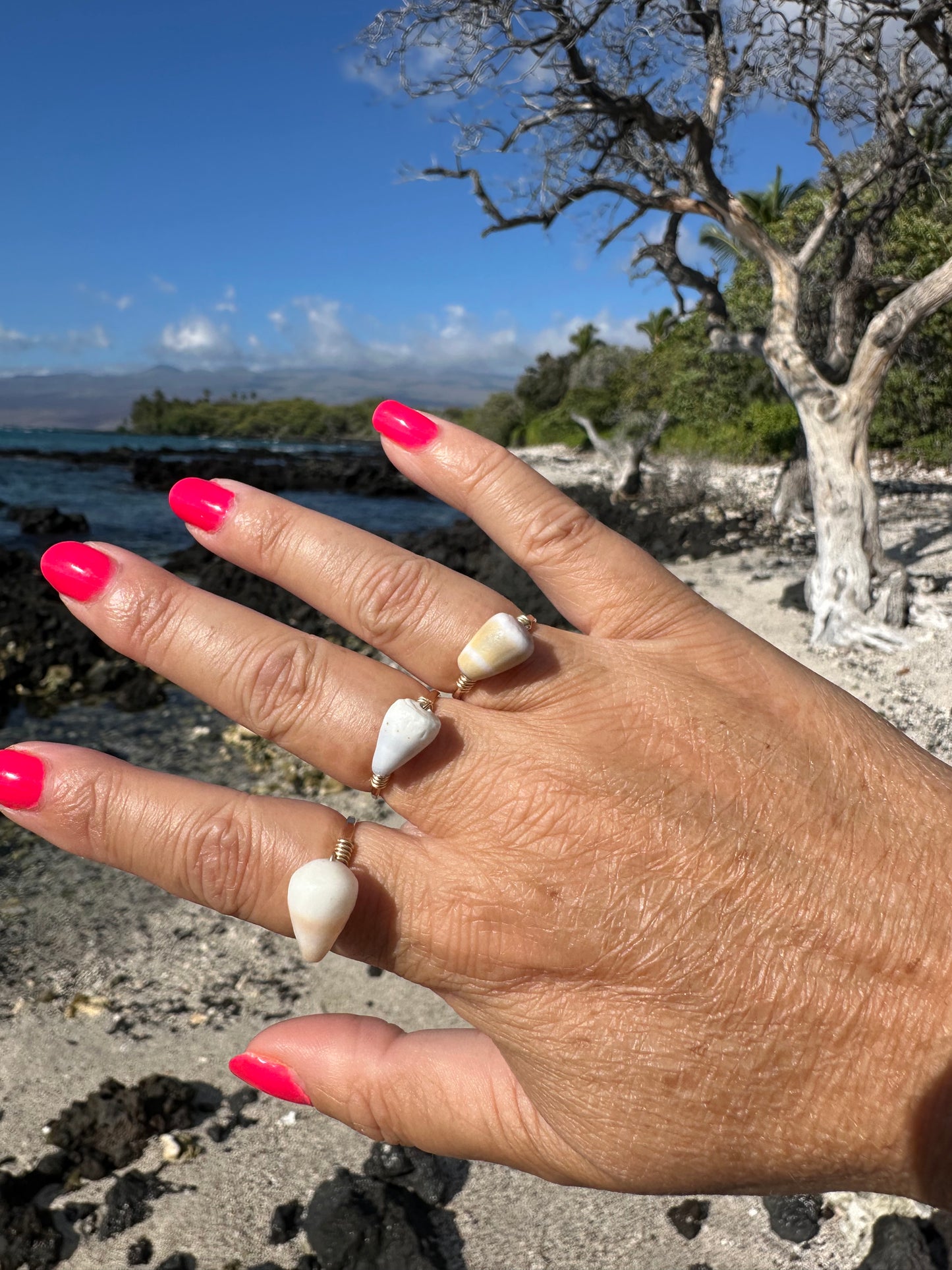 Gold Filled Cone Shell Ring – Hawaiian Beach Jewelry, Hammered Band