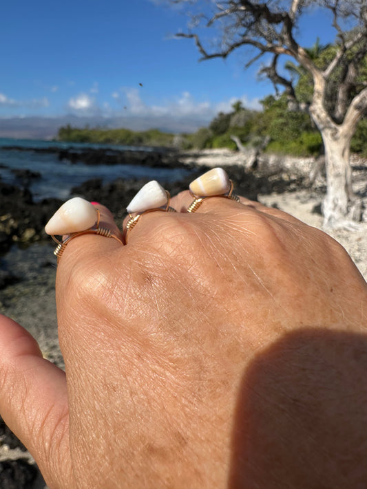 Gold Filled Cone Shell Ring – Hawaiian Beach Jewelry, Hammered Band