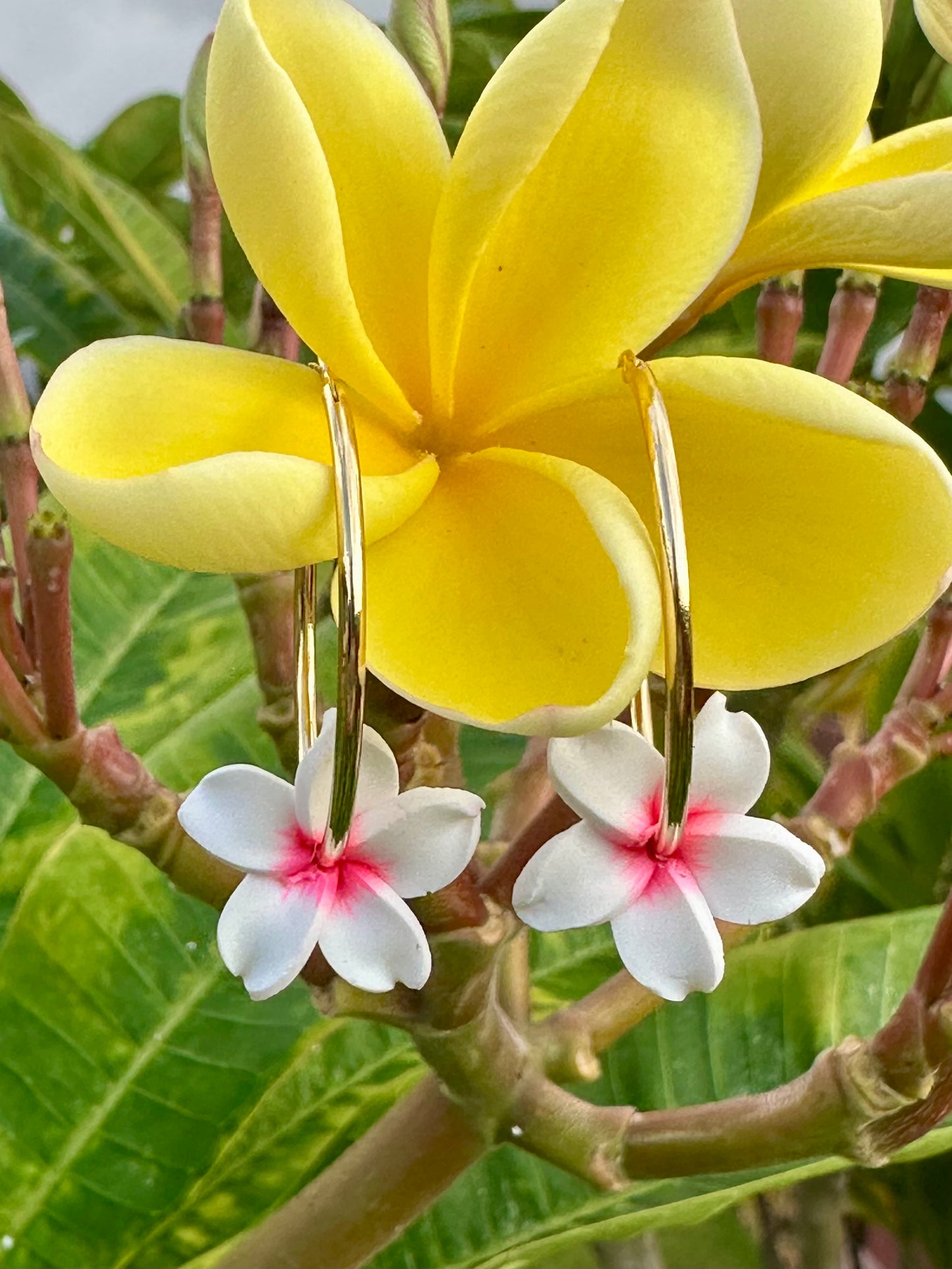 Handmade Flower Earrings | 20mm 14k Gold Filled Hoops | Tropical Island Earrings