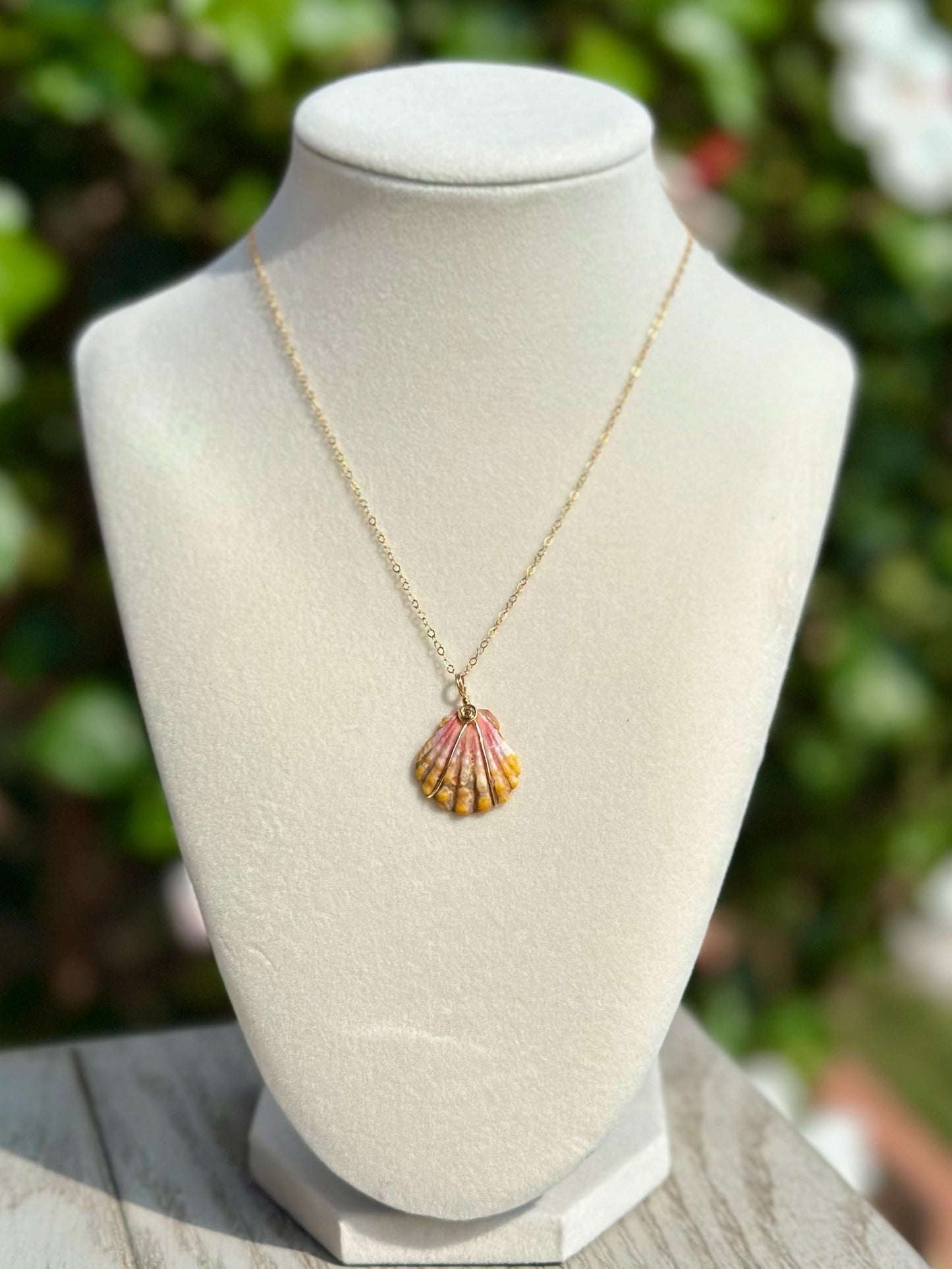 Rare Sunrise Shell Necklace – 14k Gold Filled Wire Wrapped – Hawaiian Shell Necklace