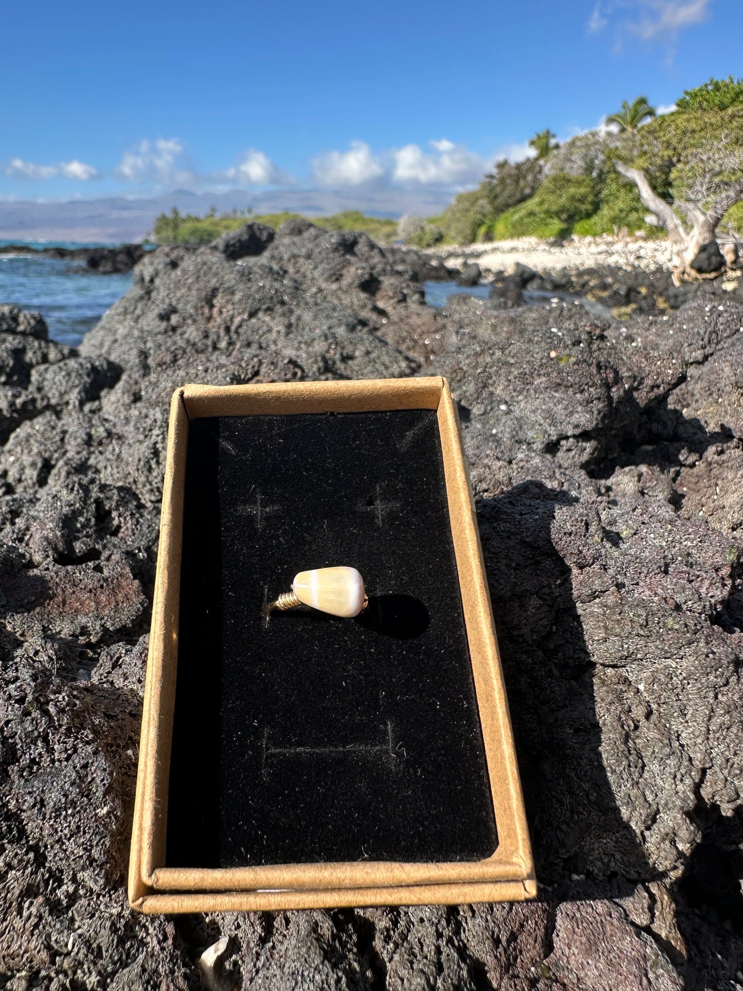 Gold Filled Cone Shell Ring – Hawaiian Beach Jewelry, Hammered Band