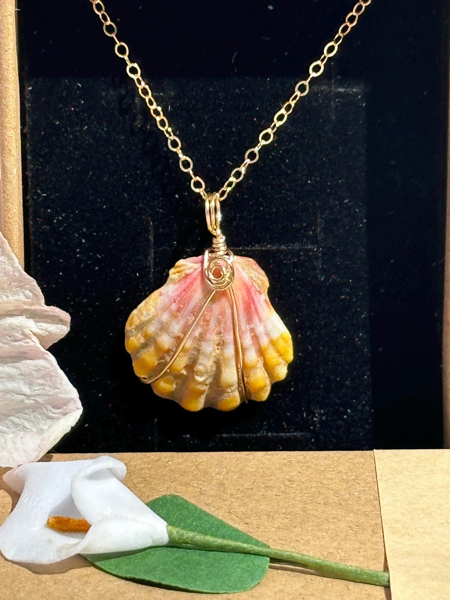 Rare Sunrise Shell Necklace – 14k Gold Filled Wire Wrapped – Hawaiian Shell Necklace