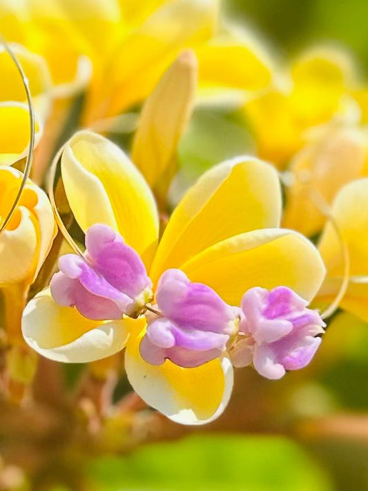 Hawaiian Flower Hoop Earrings – Handmade Hawaii Pua Jewelry