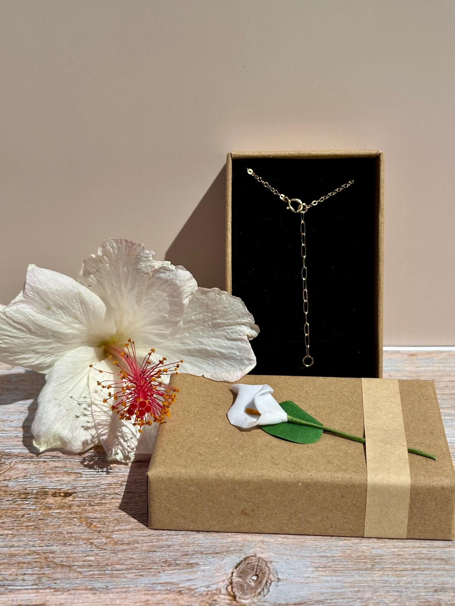 Rare Sunrise Shell Necklace – 14k Gold Filled Wire Wrapped – Hawaiian Shell Necklace