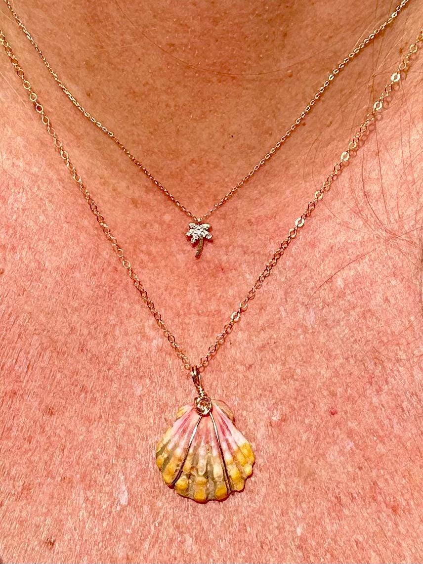 Rare Sunrise Shell Necklace – 14k Gold Filled Wire Wrapped – Hawaiian Shell Necklace