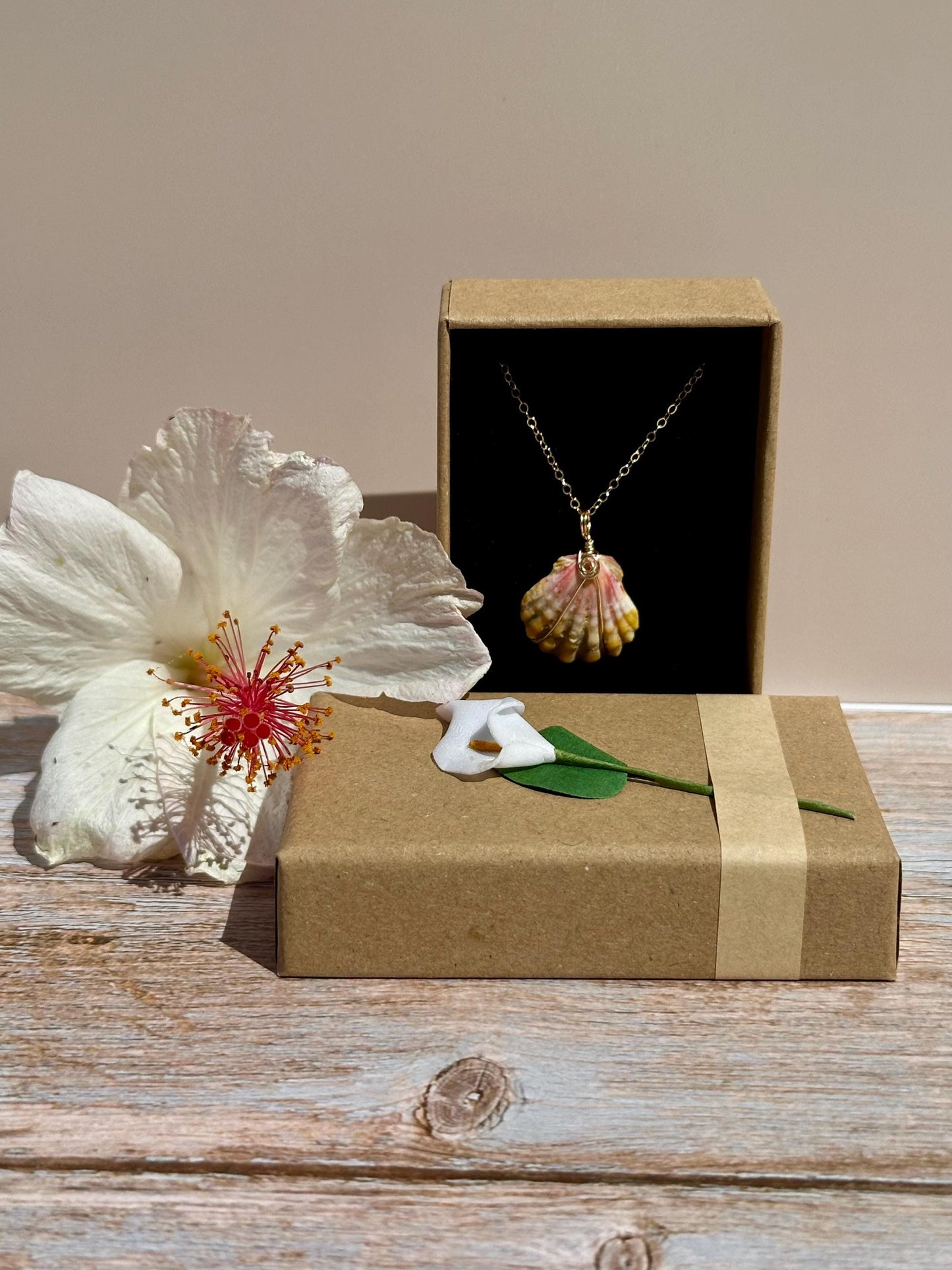 Rare Sunrise Shell Necklace – 14k Gold Filled Wire Wrapped – Hawaiian Shell Necklace