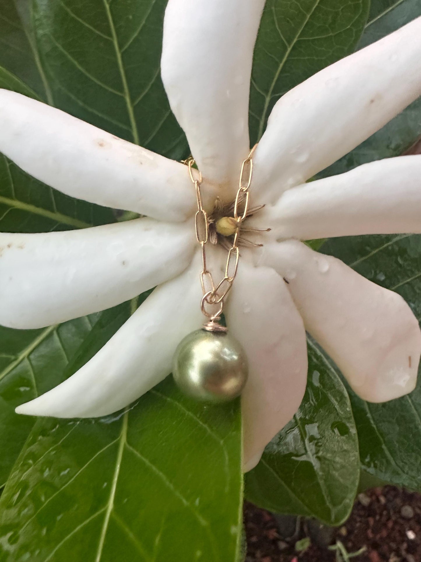 AAA Pistachio Tahitian Pearl Necklace – 10mm Pearl on 14k Gold Filled Paperclip Chain – Luxe Hawaiian Jewelry