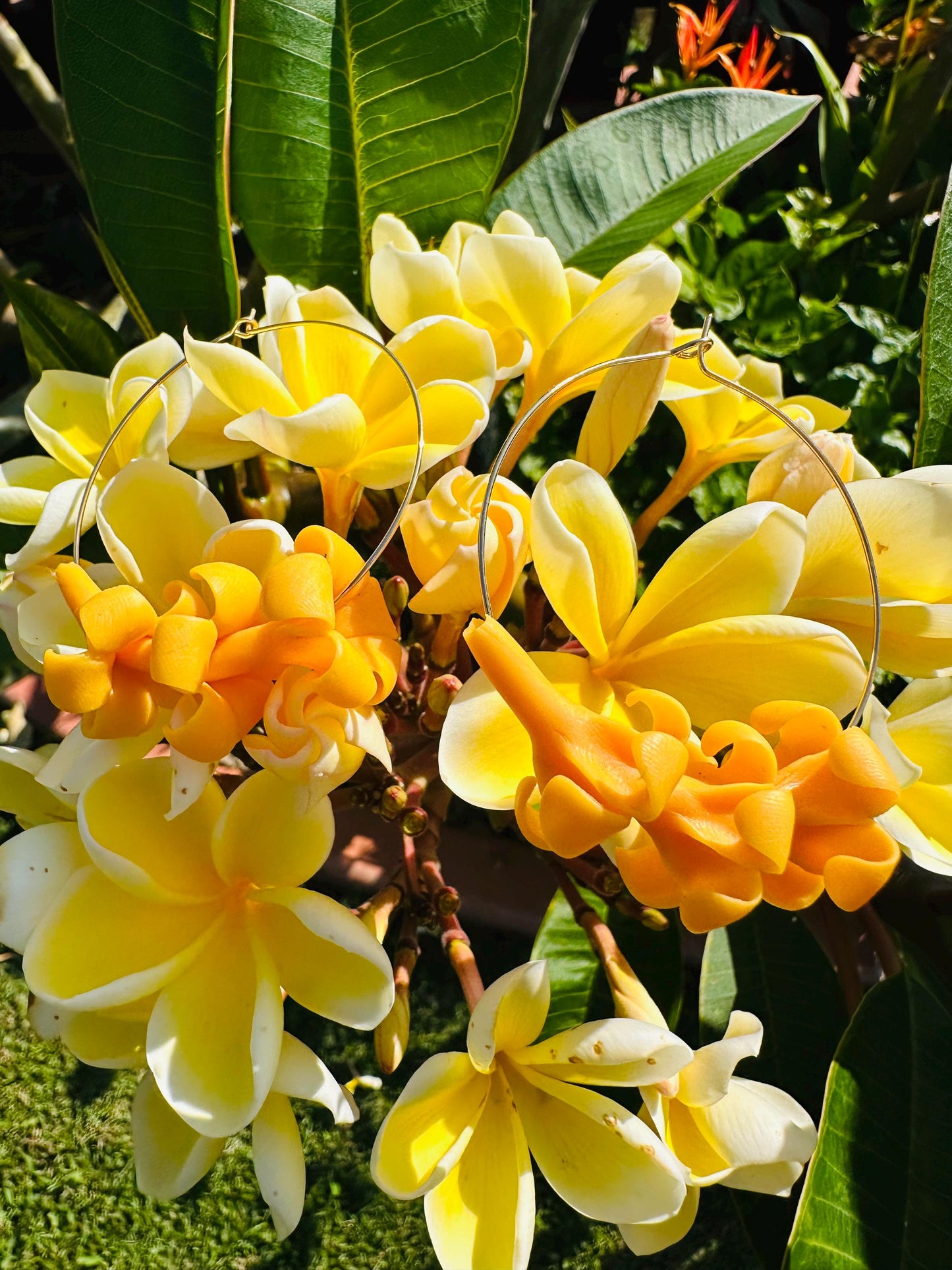 Hawaiian Flower Hoop Earrings – Handmade Hawaii Pua Jewelry
