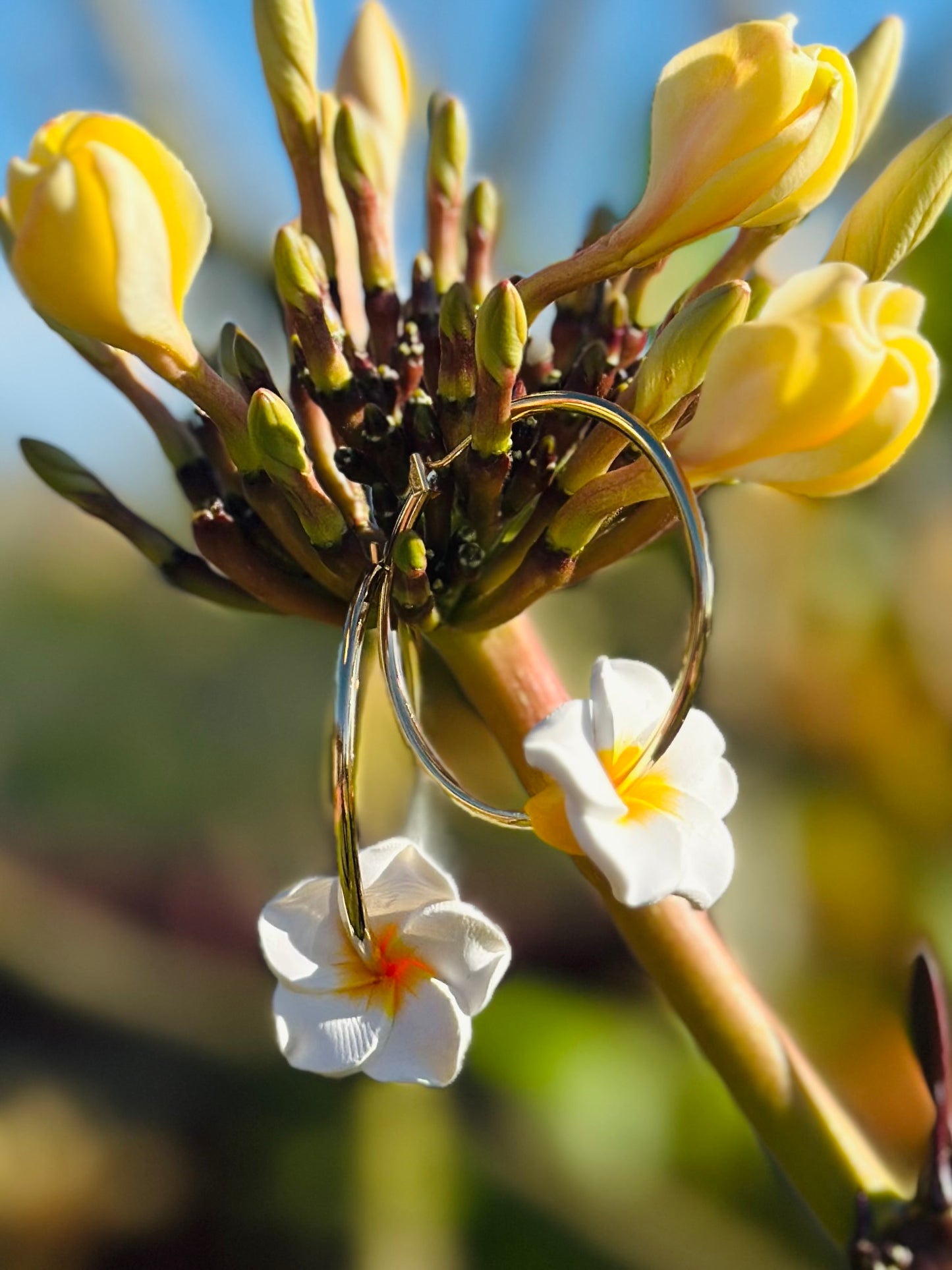 Handmade Flower Earrings | 40mm 14k Gold Filled Hoops | Tropical Island Earrings