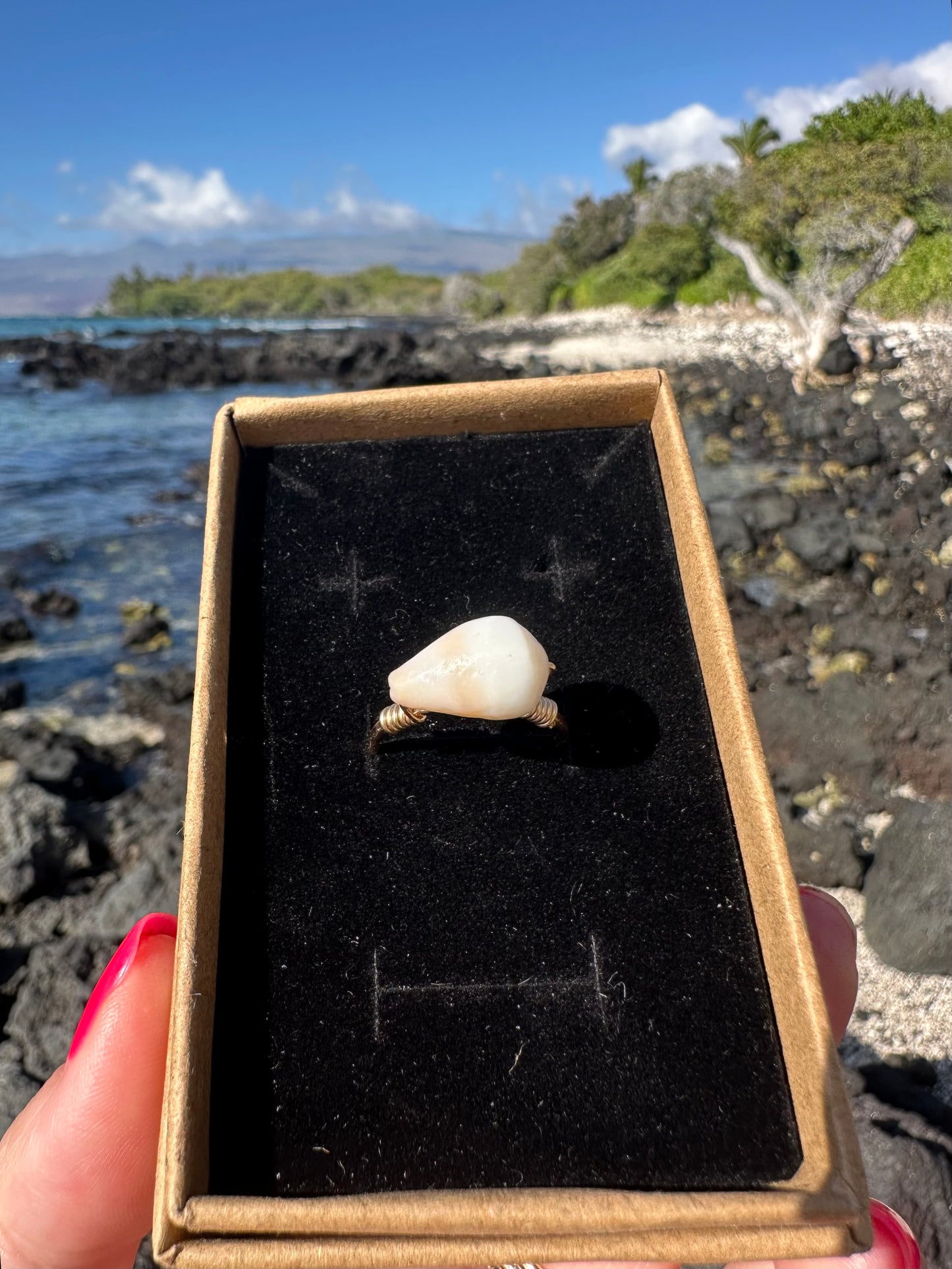 Gold Filled Cone Shell Ring – Hawaiian Beach Jewelry, Hammered Band