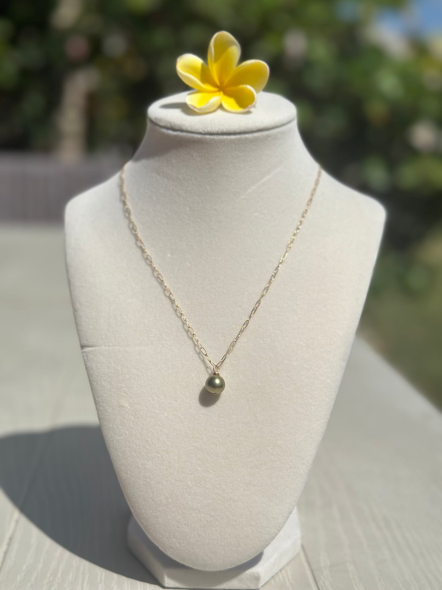 8mm Pistachio Tahitian Pearl Necklace – 14k Gold Filled Paperclip Chain – Luxe Hawaiian Jewelry