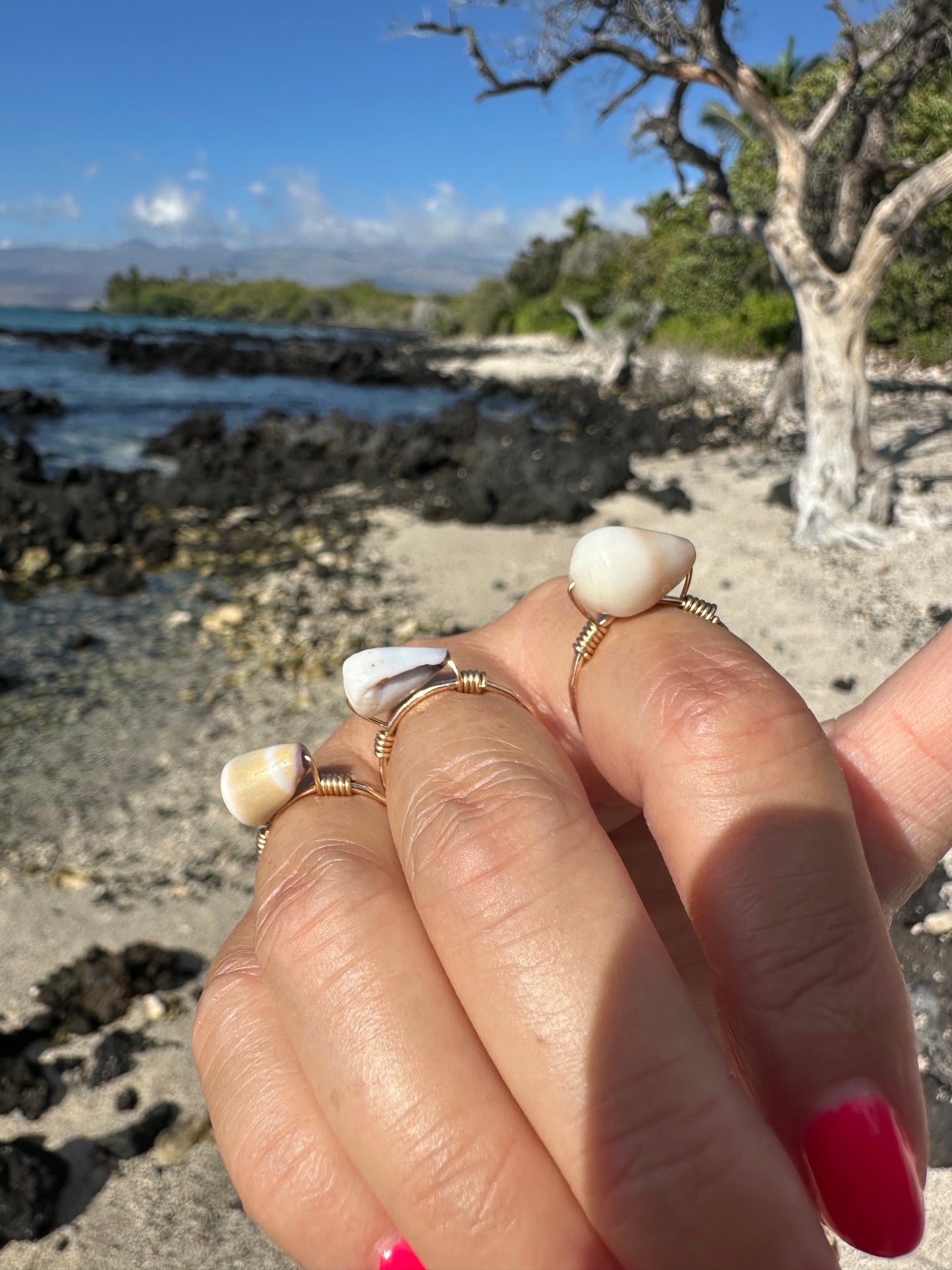 Gold Filled Cone Shell Ring – Hawaiian Beach Jewelry, Hammered Band