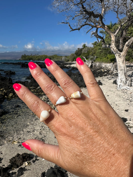 Gold Filled Cone Shell Ring – Hawaiian Beach Jewelry, Hammered Band
