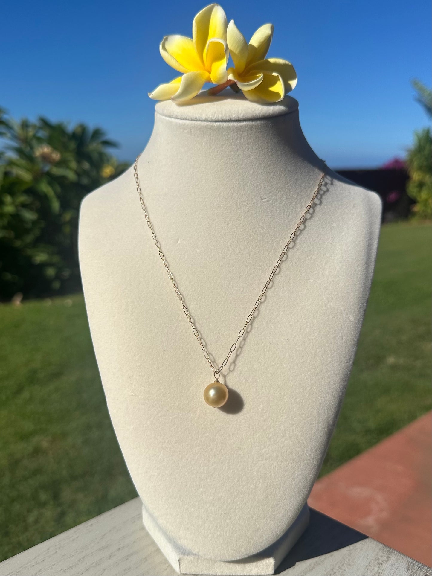 10mm Golden South Sea Pearl Necklace – 14k Gold Filled Paperclip Chain – Luxe Hawaiian Jewelry (Copy) (Copy)
