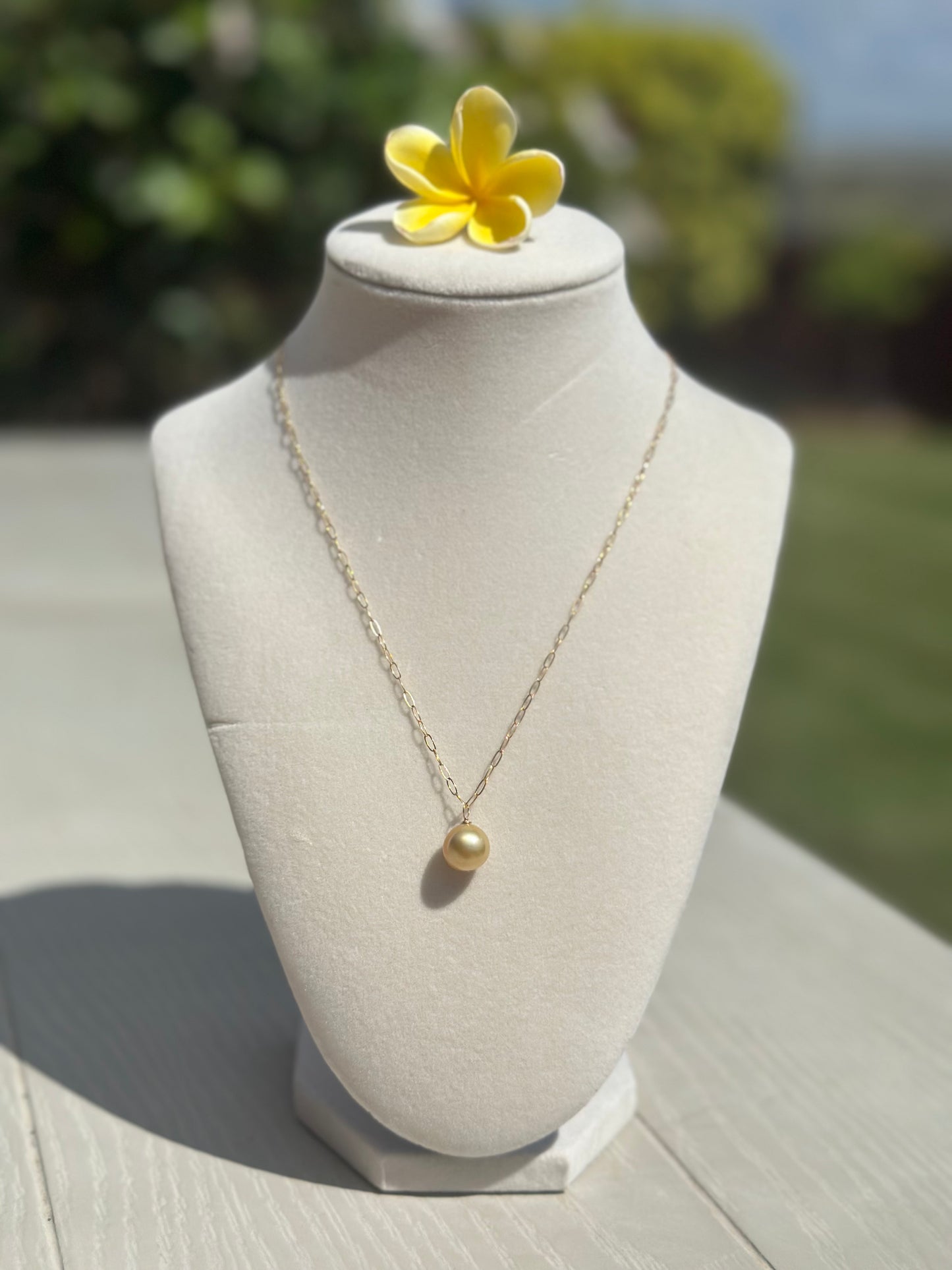 10mm Golden South Sea Pearl Necklace – 14k Gold Filled Paperclip Chain – Luxe Hawaiian Jewelry (Copy) (Copy)