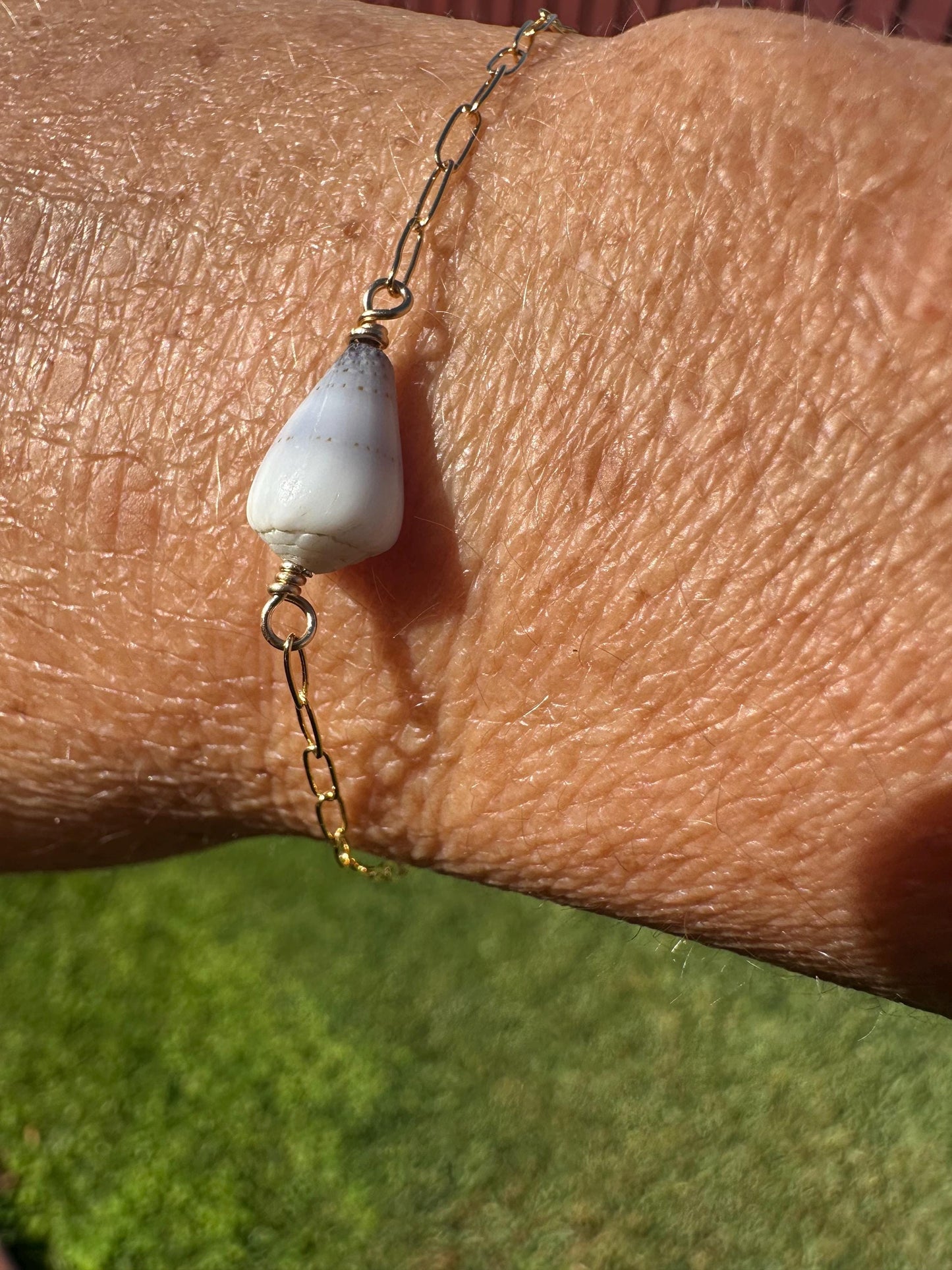 Hawaiian Cone Shell Bracelet – Adjustable Gold Paperclip Chain (8.25”)