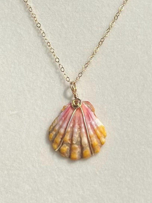 Rare Sunrise Shell Necklace – 14k Gold Filled Wire Wrapped – Hawaiian Shell Necklace